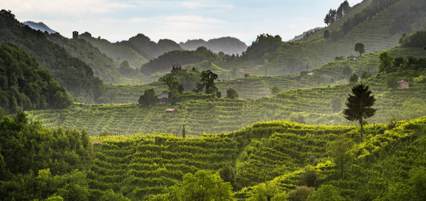 Vinmonopolets nyhetslanseringer 2025